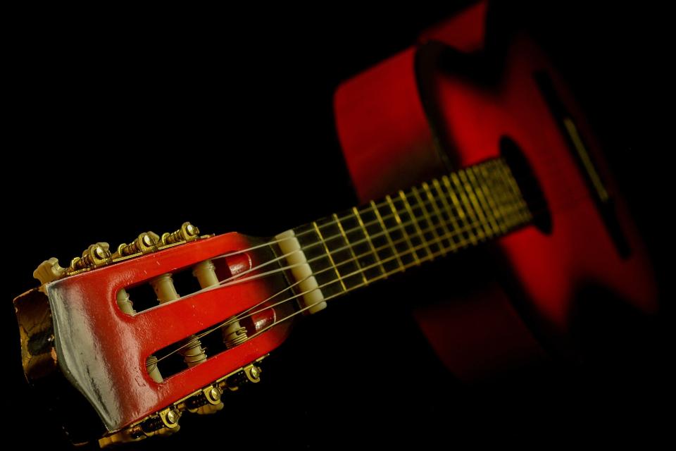 Guitar