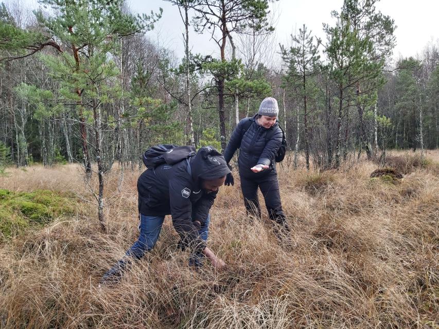Majakivi nature trail